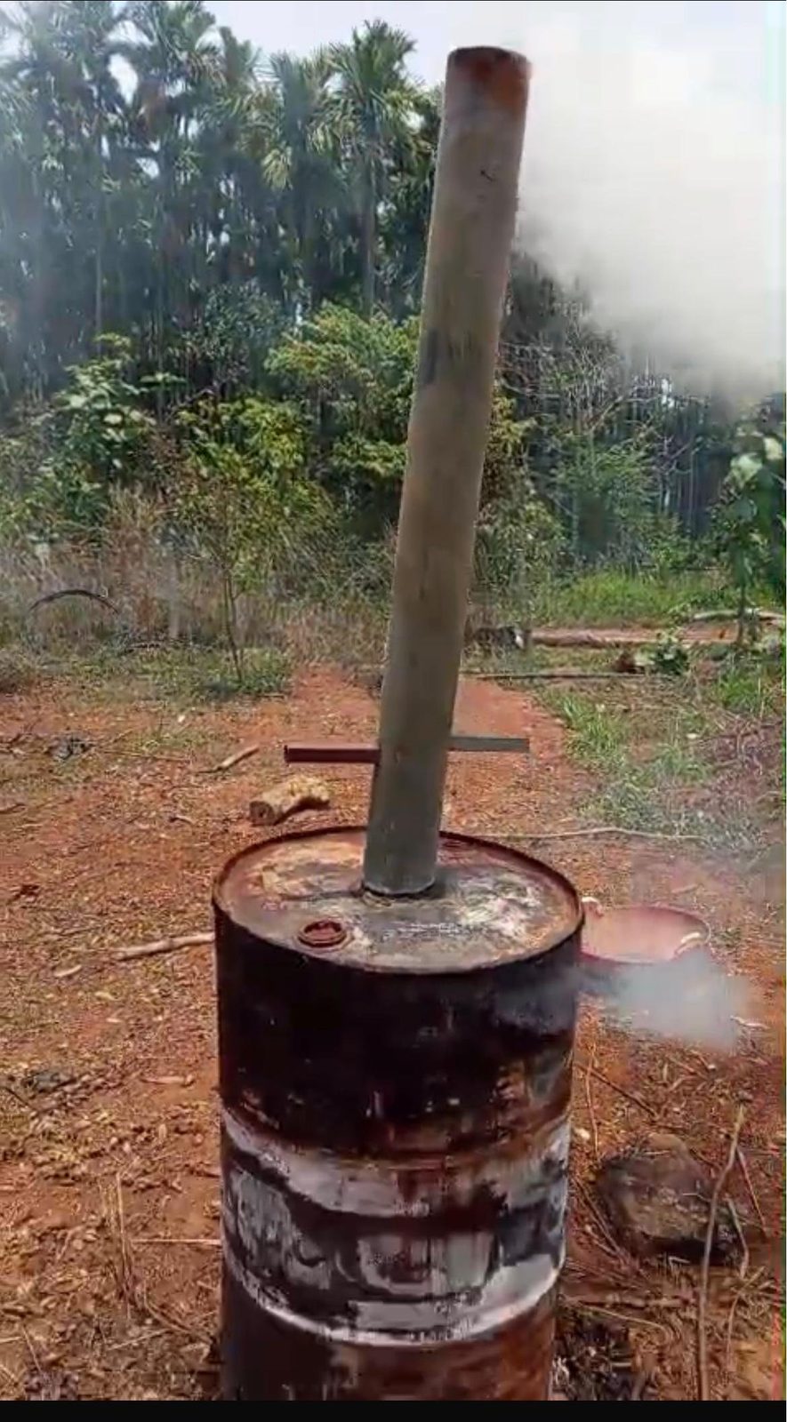 The 200-litre biochar retort running on the farm, chimney venting under the areca canopy