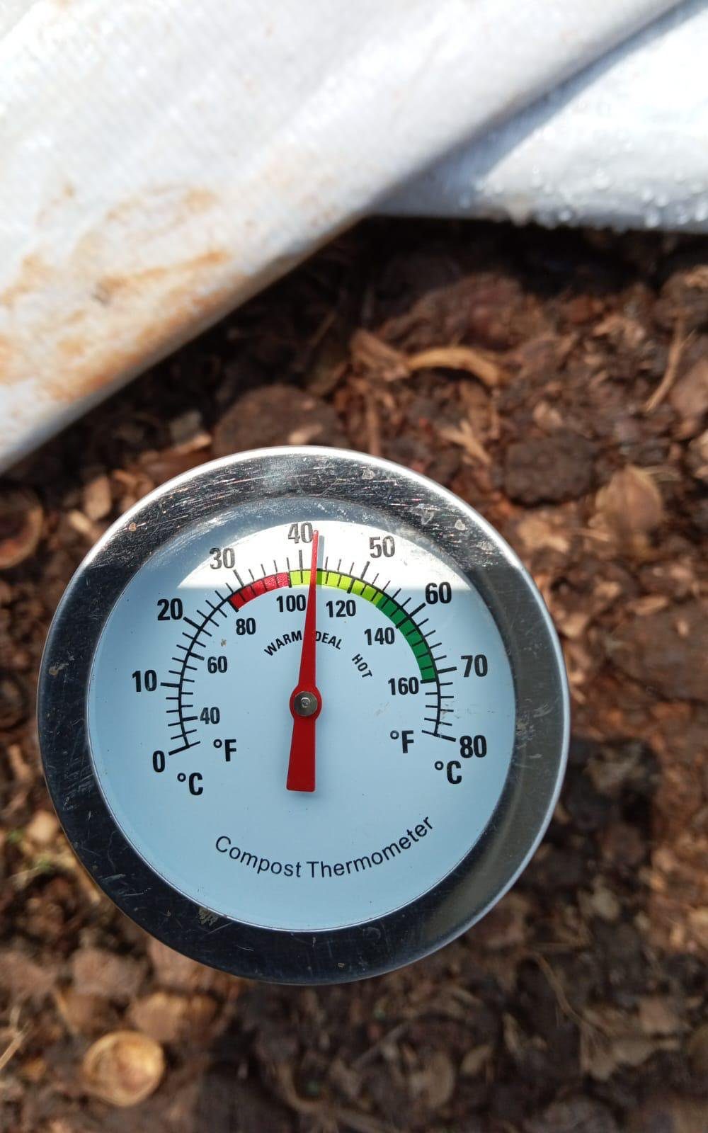A compost thermometer reading about 40°C, needle sitting in the ideal range, probed into a covered pile