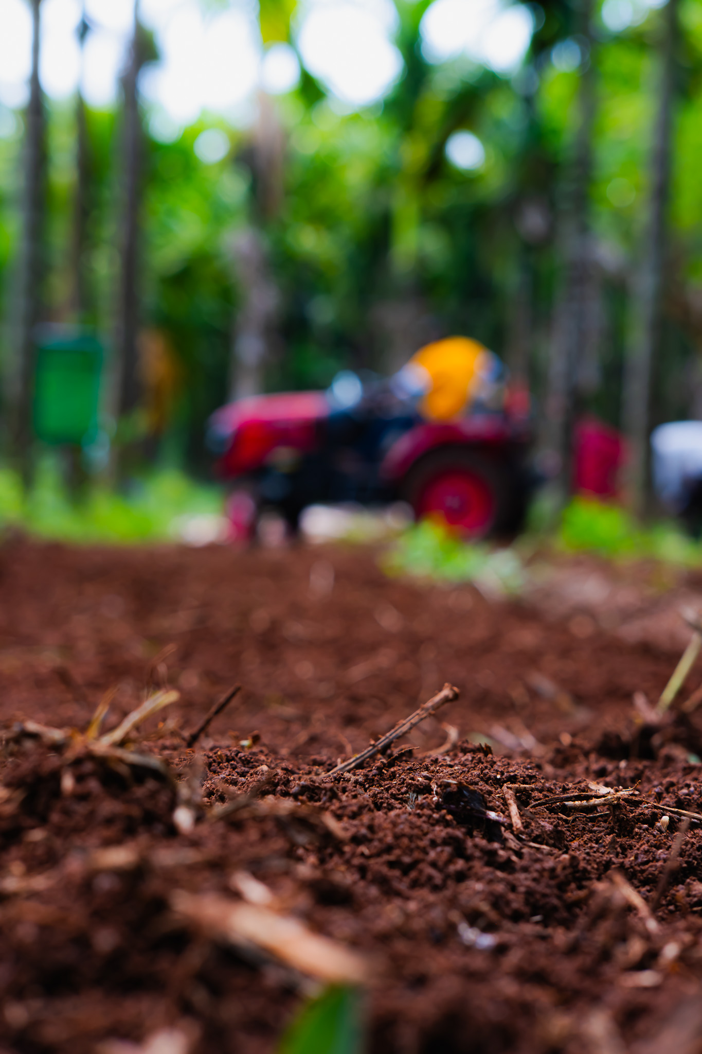 Worked red lateritic soil with a tractor behind