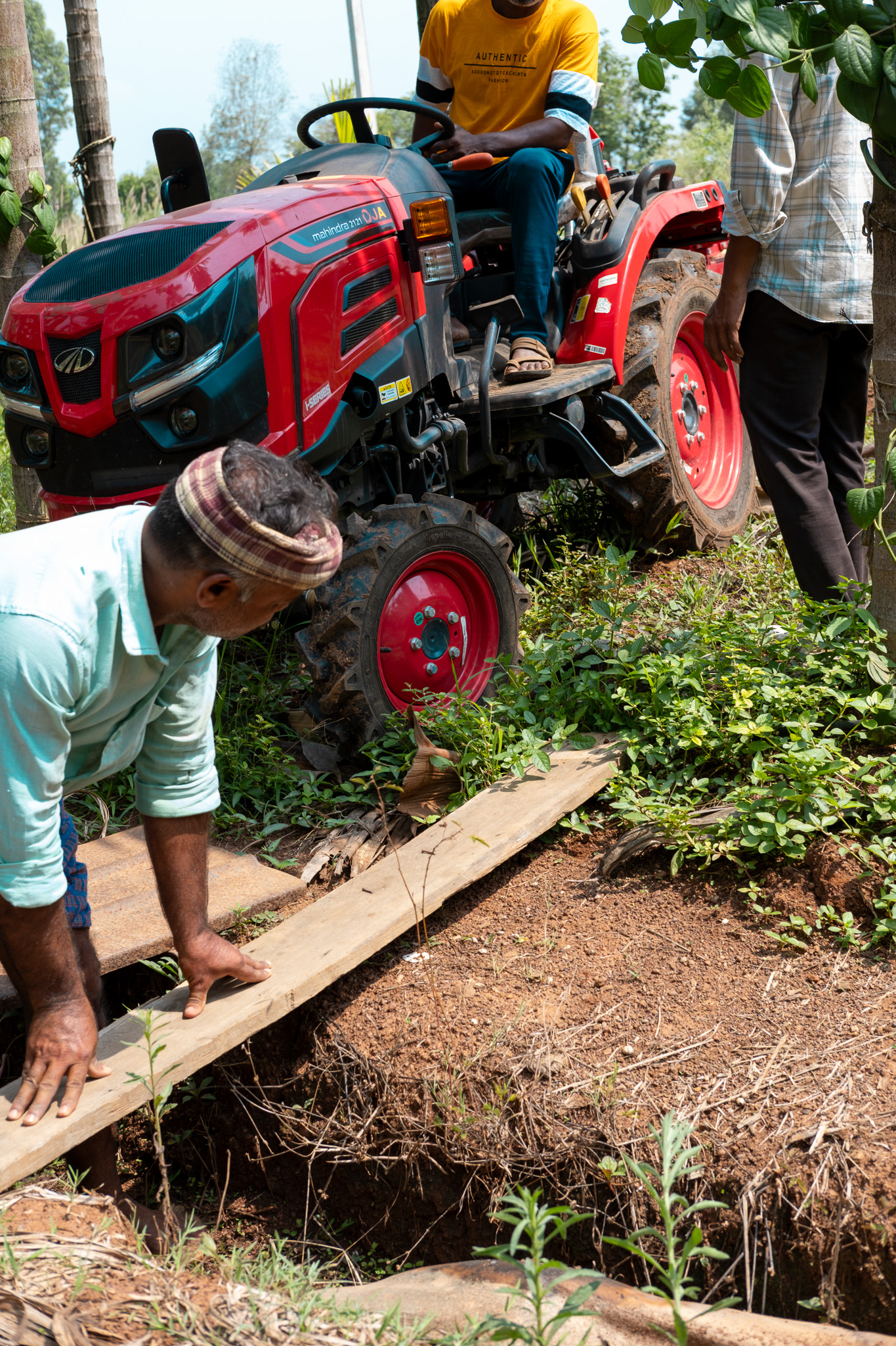 The farm team easing the tractor over a culvert in the plantation